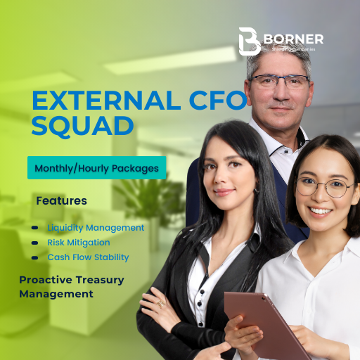 External CFO Squad: Proactive Treasury Management (3 Hours)