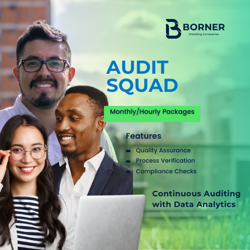 Audit Squad: Continuous Auditing with Data Analytics