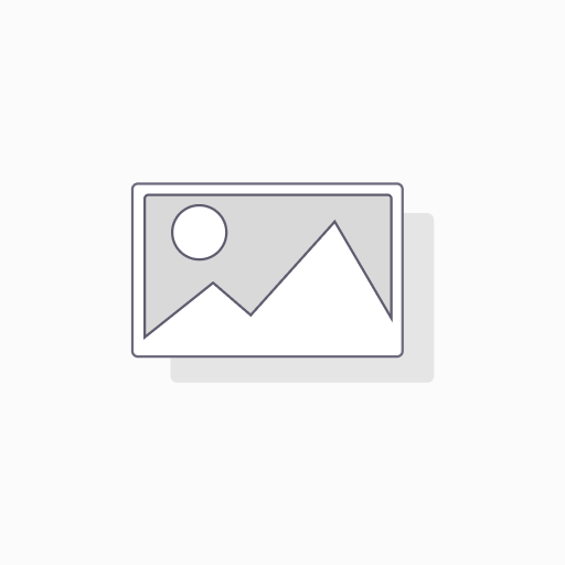 Audit Squad: Continuous Auditing with Data Analytics