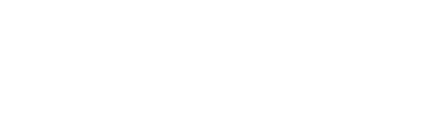 Borner Global